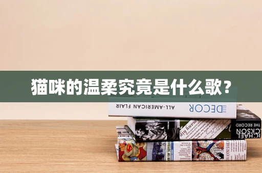 猫咪的温柔究竟是什么歌？