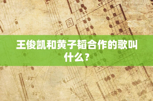王俊凯和黄子韬合作的歌叫什么？