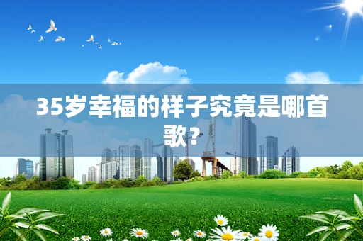 35岁幸福的样子究竟是哪首歌？