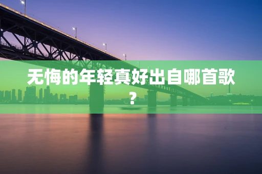 无悔的年轻真好出自哪首歌？