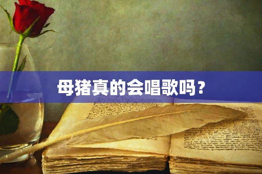 母猪真的会唱歌吗？