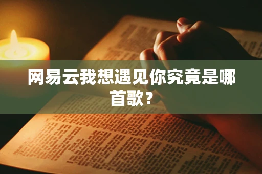 网易云我想遇见你究竟是哪首歌？