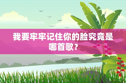 我要牢牢记住你的脸究竟是哪首歌？