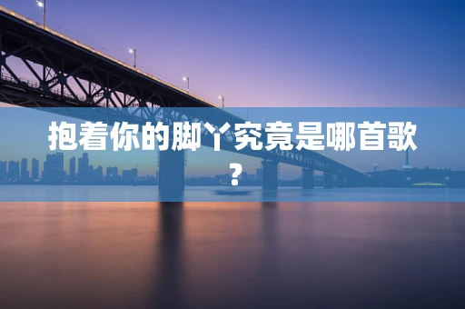 抱着你的脚丫究竟是哪首歌？