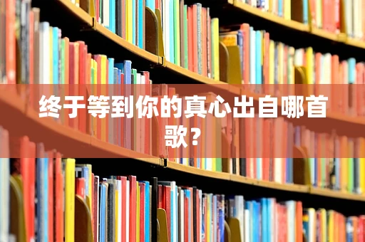 终于等到你的真心出自哪首歌？