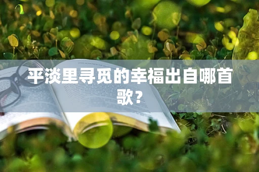 平淡里寻觅的幸福出自哪首歌？