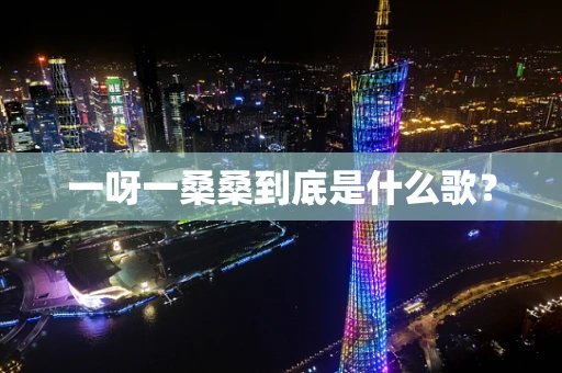 一呀一桑桑到底是什么歌？