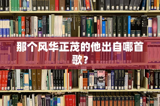 那个风华正茂的他出自哪首歌？