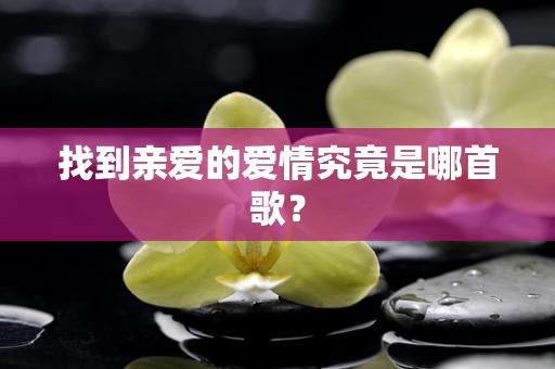 找到亲爱的爱情究竟是哪首歌？