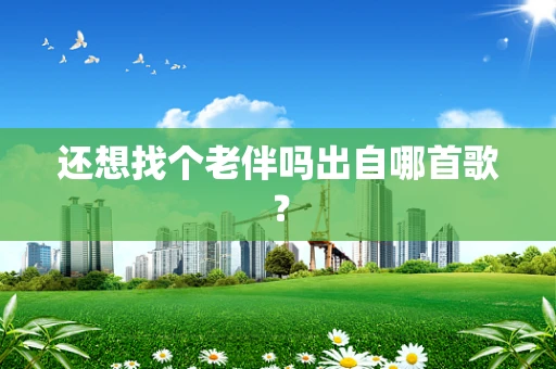 还想找个老伴吗出自哪首歌？