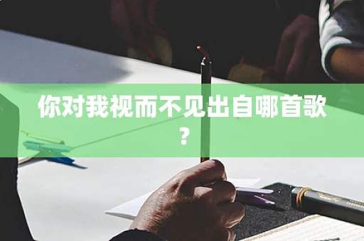 你对我视而不见出自哪首歌？