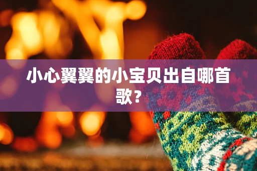小心翼翼的小宝贝出自哪首歌？