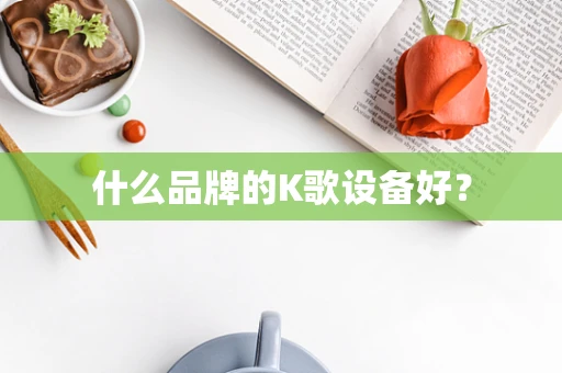 什么品牌的K歌设备好？