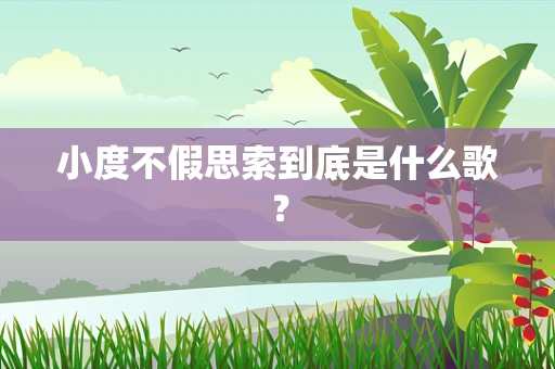 小度不假思索到底是什么歌？