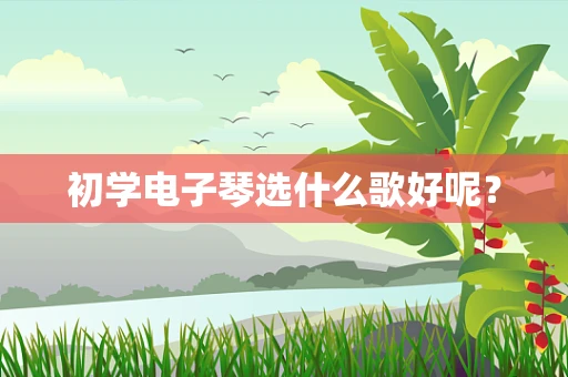 初学电子琴选什么歌好呢？