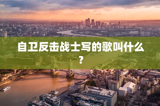 自卫反击战士写的歌叫什么？