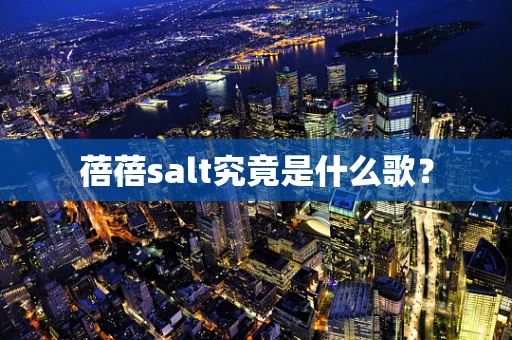 蓓蓓salt究竟是什么歌？