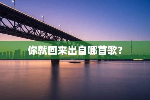 你就回来出自哪首歌？
