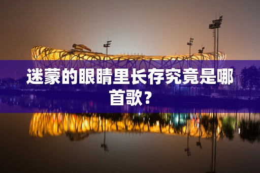 迷蒙的眼睛里长存究竟是哪首歌？