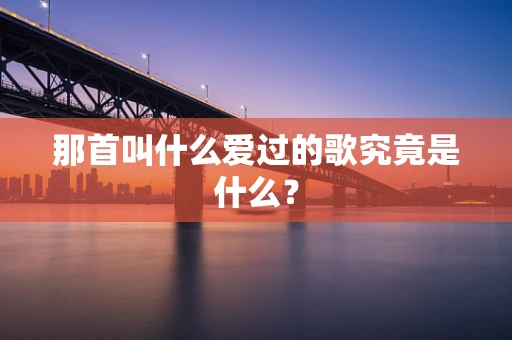 那首叫什么爱过的歌究竟是什么？