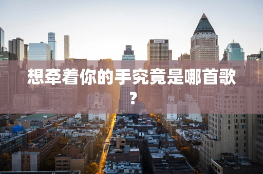 想牵着你的手究竟是哪首歌？