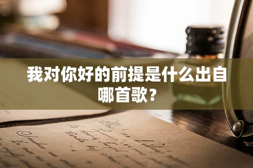 我对你好的前提是什么出自哪首歌？