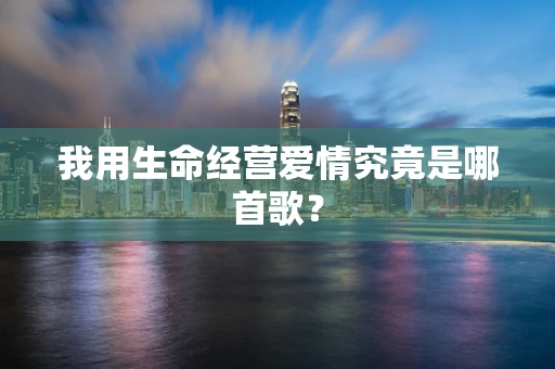 我用生命经营爱情究竟是哪首歌？