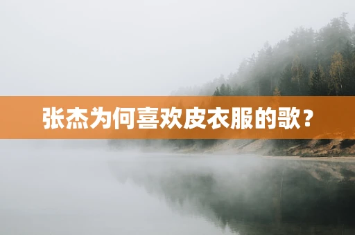 张杰为何喜欢皮衣服的歌？
