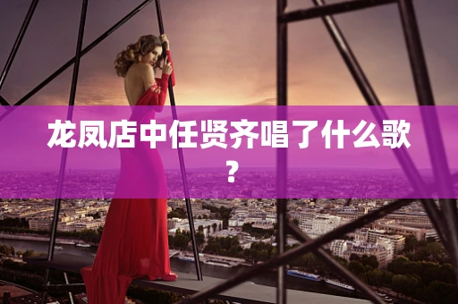 龙凤店中任贤齐唱了什么歌？