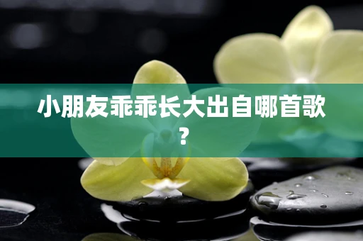 小朋友乖乖长大出自哪首歌？