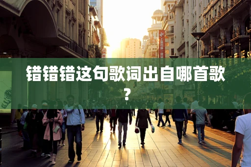 错错错这句歌词出自哪首歌？