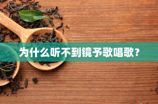 为什么听不到镜予歌唱歌？