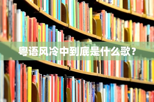 粤语风冷中到底是什么歌？