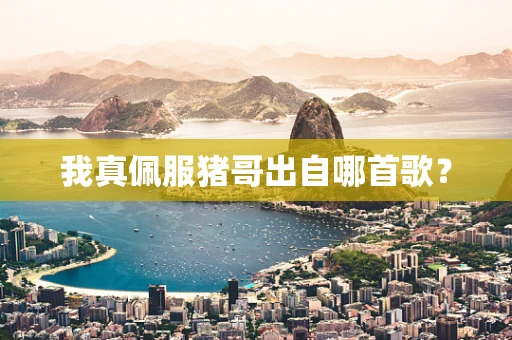我真佩服猪哥出自哪首歌？
