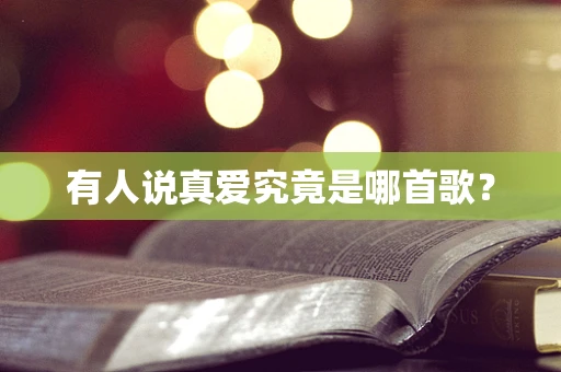 有人说真爱究竟是哪首歌？