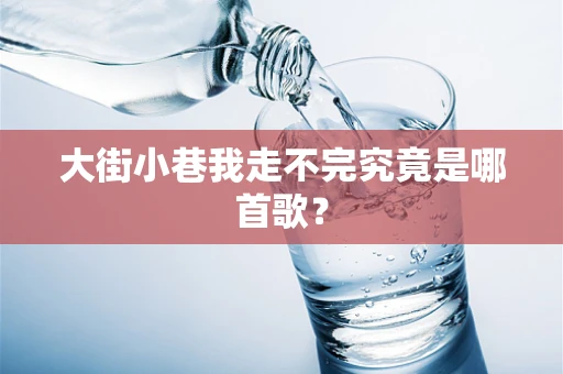 大街小巷我走不完究竟是哪首歌？