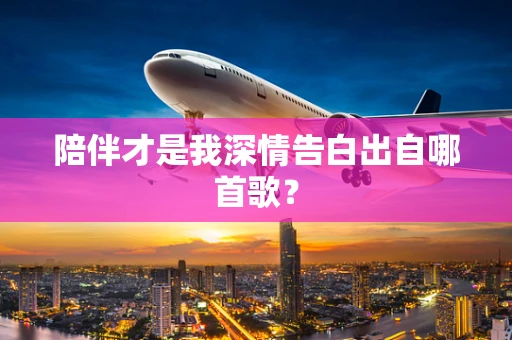 陪伴才是我深情告白出自哪首歌？