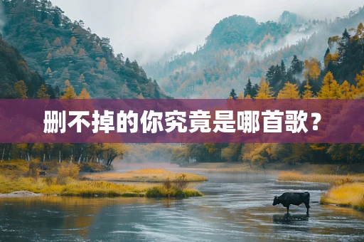 删不掉的你究竟是哪首歌？