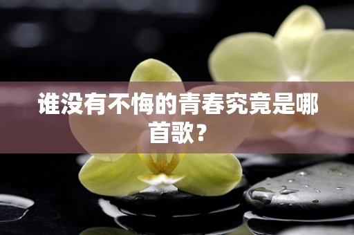 谁没有不悔的青春究竟是哪首歌？