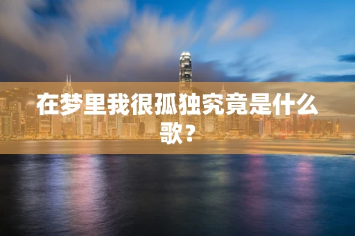 在梦里我很孤独究竟是什么歌？