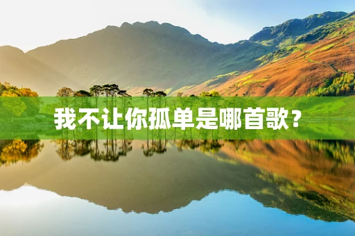我不让你孤单是哪首歌？