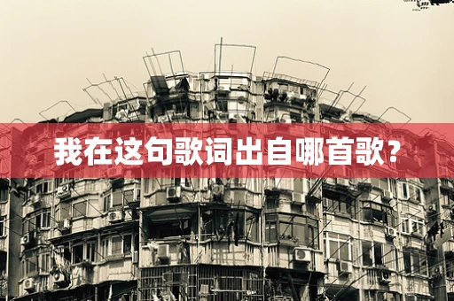 我在这句歌词出自哪首歌？
