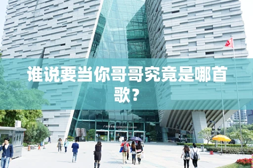 谁说要当你哥哥究竟是哪首歌？