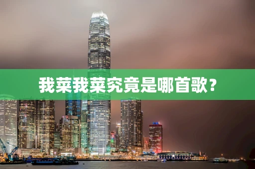 我菜我菜究竟是哪首歌？