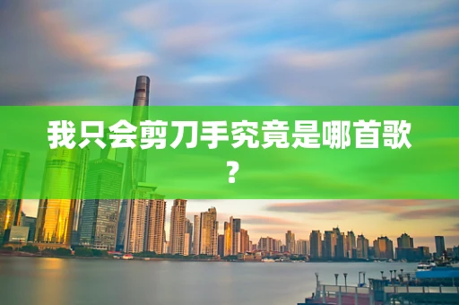 我只会剪刀手究竟是哪首歌？