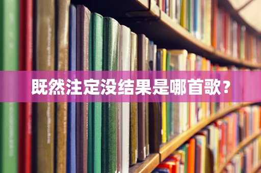 既然注定没结果是哪首歌？