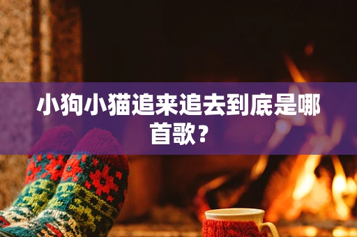 小狗小猫追来追去到底是哪首歌？