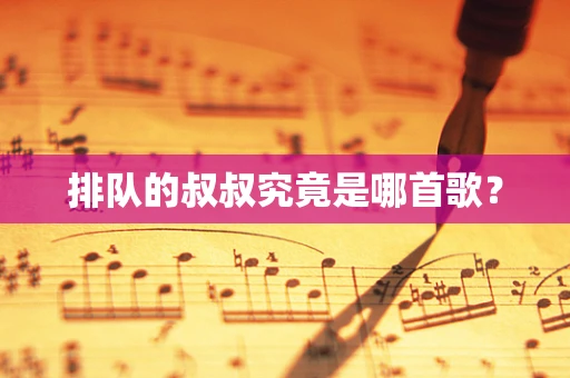 排队的叔叔究竟是哪首歌？