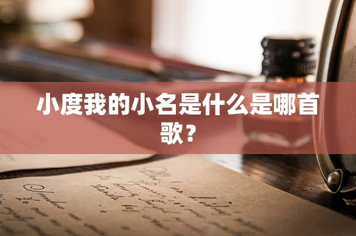 小度我的小名是什么是哪首歌？