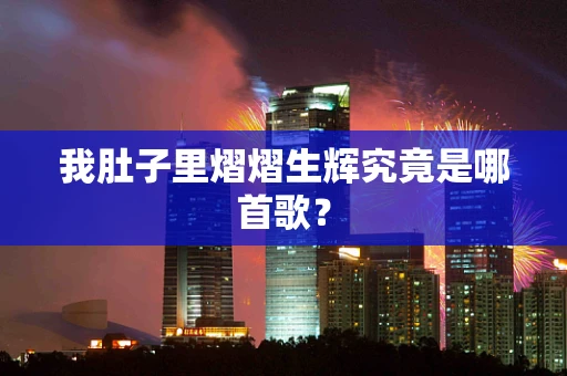 我肚子里熠熠生辉究竟是哪首歌？